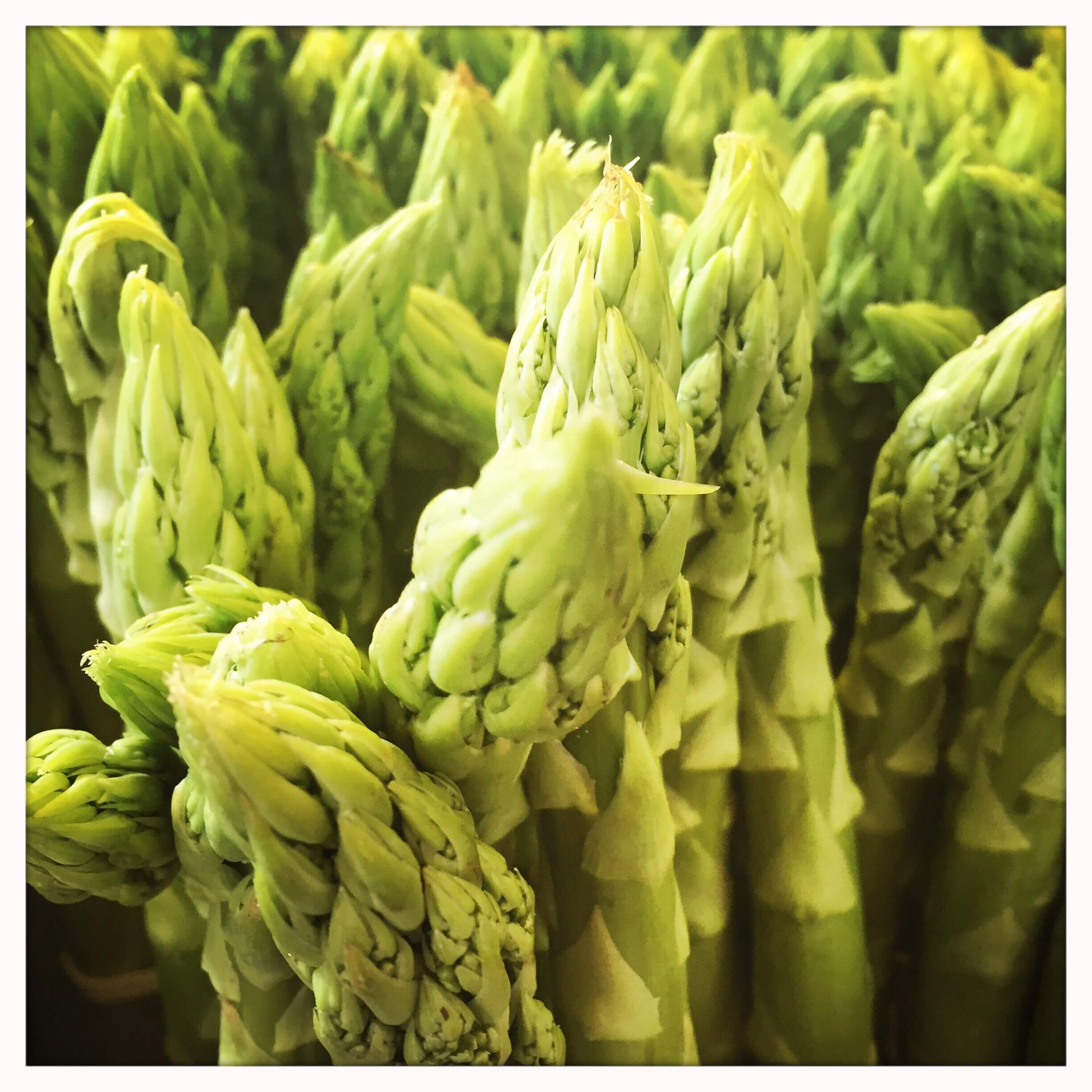 Spargel: Saison, Einkauf, Schälen und Lagern